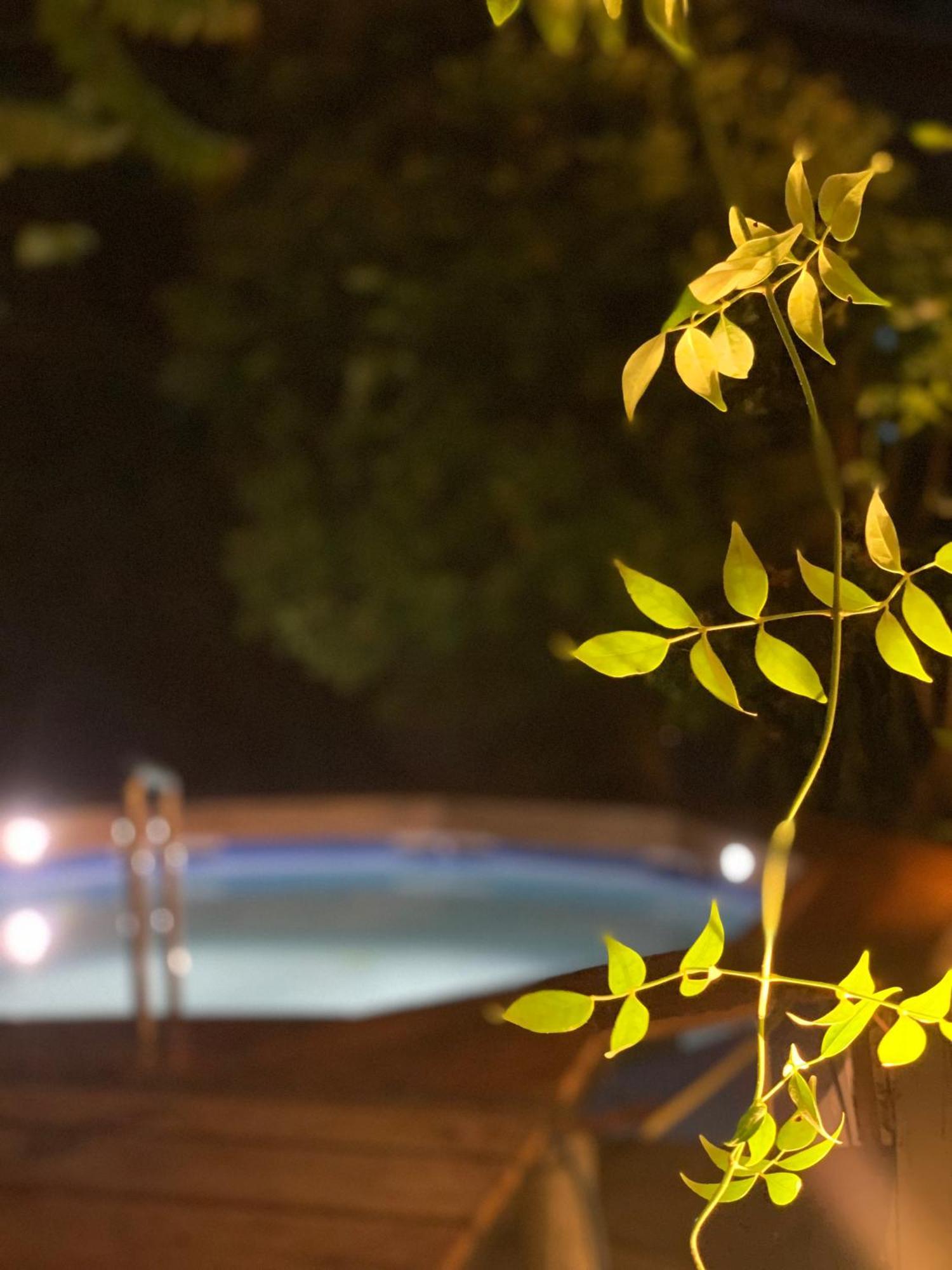 Green Leaves Garden - Pinnawala Luaran gambar