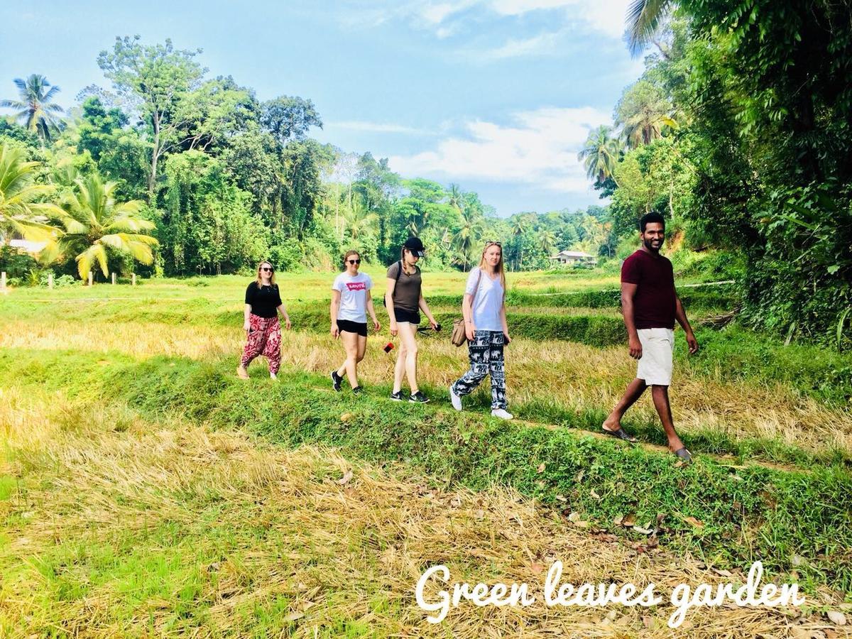 Green Leaves Garden - Pinnawala Luaran gambar