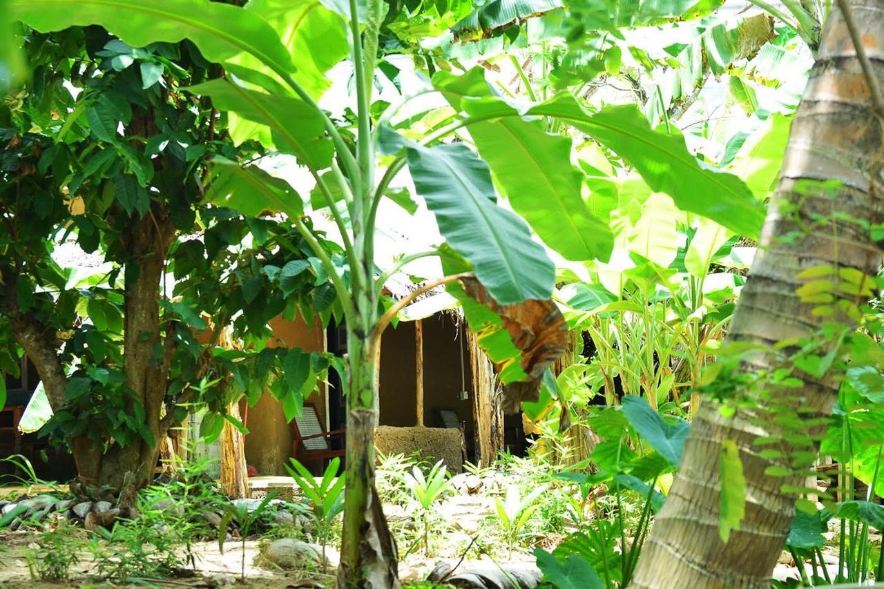 Green Leaves Garden - Pinnawala Luaran gambar